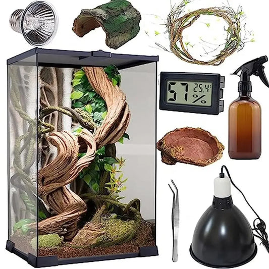 Reptile Terrarium Starter Kit with Glass Tank and Accessories Ideal Small Geckos and Snakes